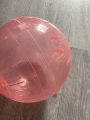 Pets at Home Small Animal Exercise Ball Pets At Home