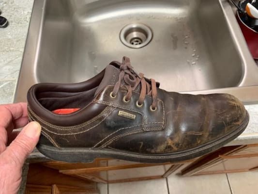 Rockport Northfield Mens Lace Up Casual Shoes Rogan s Shoes