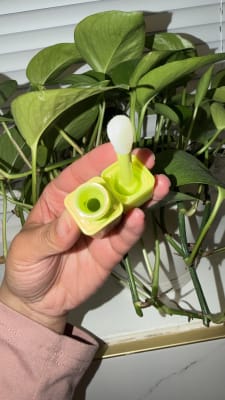 View Gallery Image #15