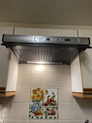 Zanussi 60cm stainless steel chimney cooker hood zhc60136x cheap