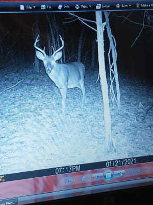 Deer Muddy Mtc100 Setup Muddy Outdoors MUD-MTC100-3PK Pro Cam 12