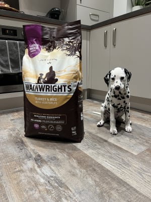 Wainwrights turkey and rice on sale