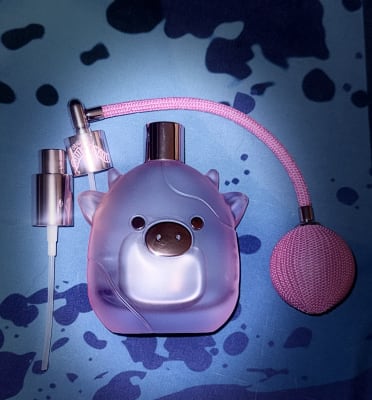 View Gallery Image #6