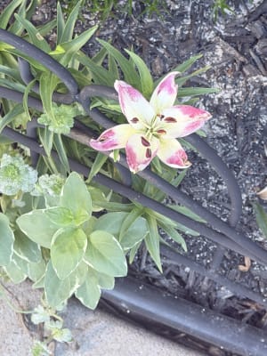 View Gallery Image #1