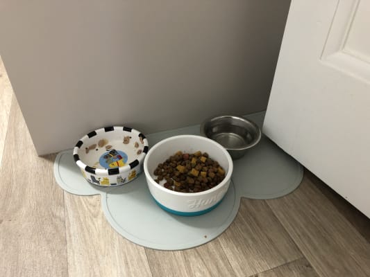 Just For Kitten Silicone Cloud Feeding Placemat Grey Pets At Home