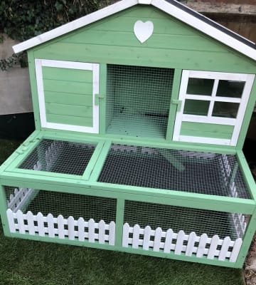 Blossom guinea pig sales hutch