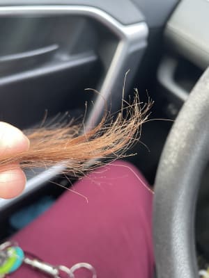 View Gallery Image #5