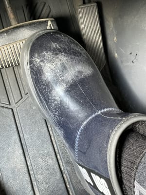 パンダ♡UGG クラッシッククリアミニ ブーツ US7 24㎝ パンダ♡UGG クラッシッククリアミニ ブーツ US7 24㎝ Classic