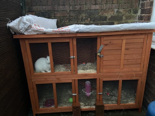 Pets At Home Bluebell Hideaway Guinea Pig And Rabbit Hutch 5ft Pets At Home