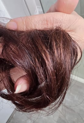 View Gallery Image #4