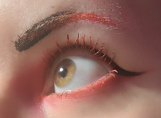 View Gallery Image #9