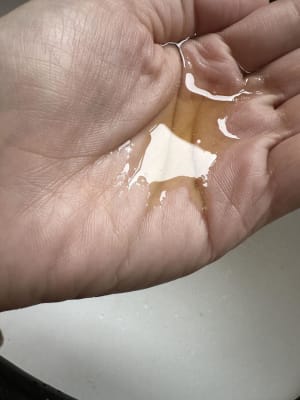 View Gallery Image #5
