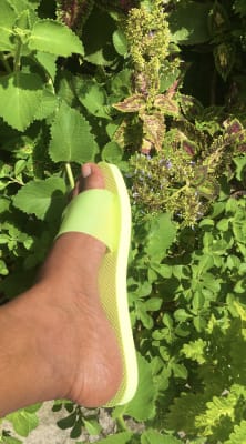 Neon green sandals old outlet navy