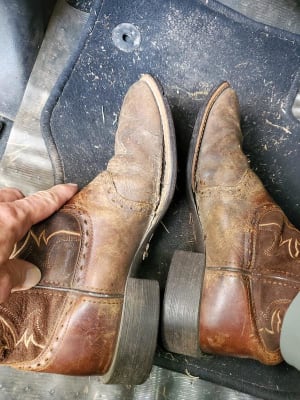 Ariat sport sidewinder new arrivals