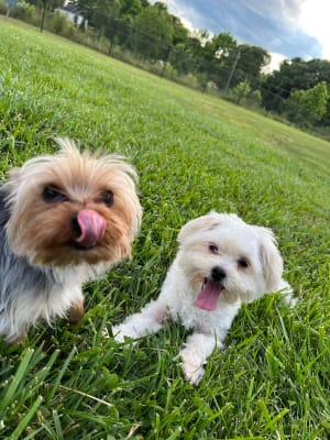 View Gallery Image #5