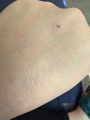 View Gallery Image #5