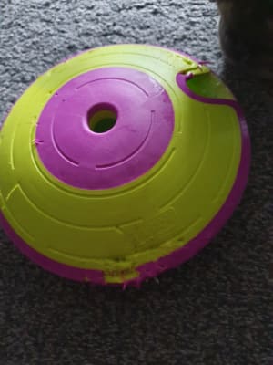 Nina Ottosson Treat Maze Interactive Treat Puzzle Dog Toy