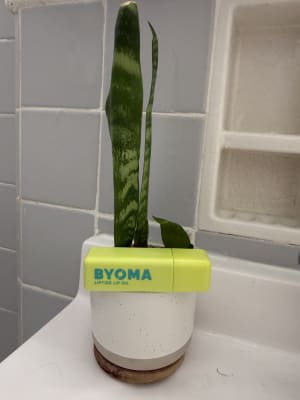 View Gallery Image #12