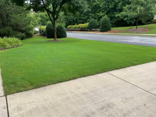 Image Kills Nutsedge Weed Killer Ready-to-Spray