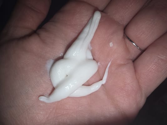 View Gallery Image #8