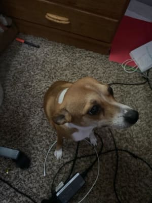 View Gallery Image #2