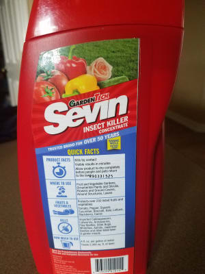 Kill over 500 insects - Sevin® Insect Killer Concentrate | Sevin