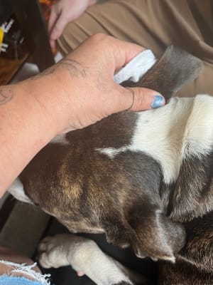 View Gallery Image #15