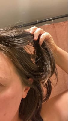 View Gallery Image #15