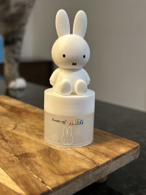 View Gallery Image #12