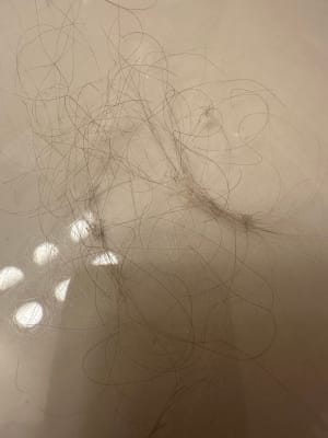 View Gallery Image #16