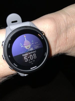 Garmin Forerunner 255S GPS Smartwatch Light Pink Beach Camera