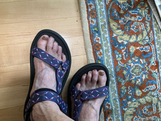 靴 TEVA HURRICANE XLT2 AMPSOLE XLT2 26cm TEVA Hurricane XLT2 Ampsole - Beige Sandals - Sporty Sandals