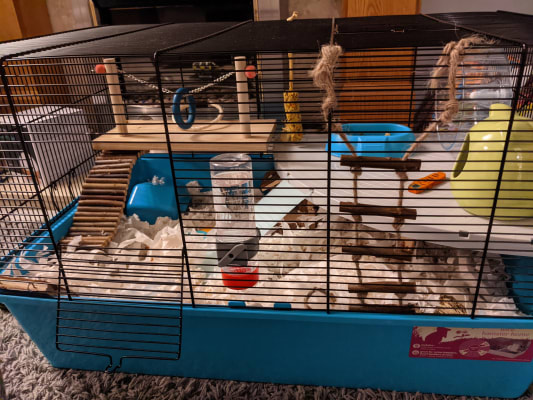 Pets at home hot sale large wire hamster cage