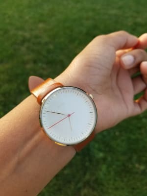 Fossil essentialist watch sale