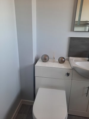 Grey hot sale bathroom paint