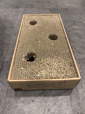 Willow s Silver Vine Scratch Box Cat Toy Pets At Home