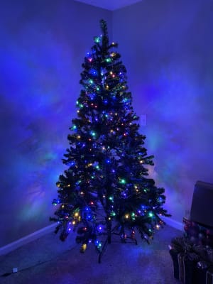 Winter Wonder Lane 7' Cheyenne Pre-Lit LED Artificial Christmas Tree with  Dual 9-Function Micro Lights