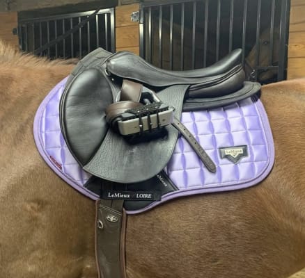 LeMieux® X-Grip Half Pad – Dover Saddlery
