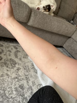 View Gallery Image #2