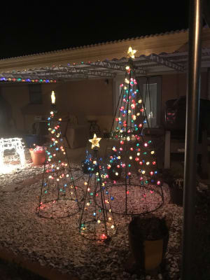 Louis Vuitton Christmas Tree 🎄