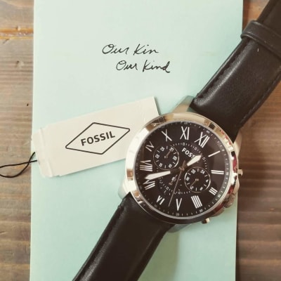 fs4812ie fossil