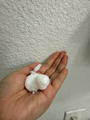 View Gallery Image #10