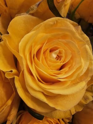 View Gallery Image #1
