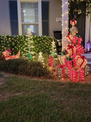 Big lots christmas lights outdoor