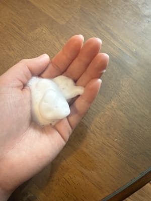 View Gallery Image #7