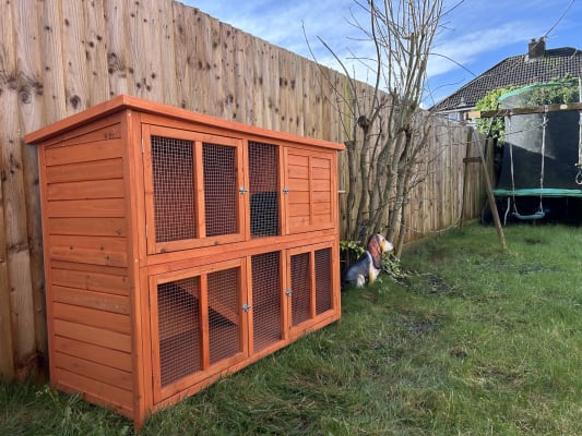 Bluebell hideaway rabbit sales hutch