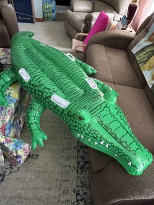 Adult Inflatable Green Crocodile Costume  Alligator Carry Me Mens Rider Blow Up 