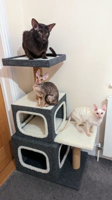 Pets at Home Cook Climb and Perch Cat Activity Centre Grey Pets