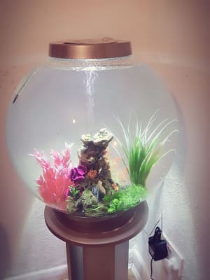 Orb fish tank hot sale