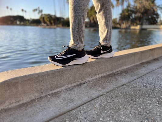 Zoom hotsell fly street